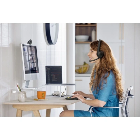 Компьютерная гарнитура Logitech USB Headset H390