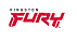 Kingston Fury Kingston Fury