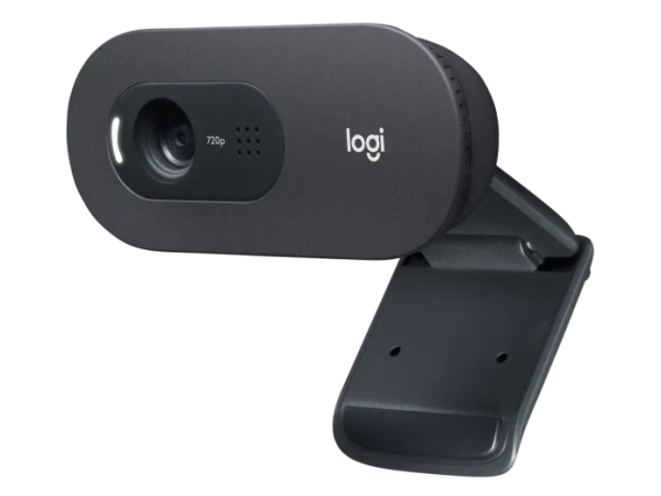 Веб-камера Logitech C505e HD Webcam (960-001372)