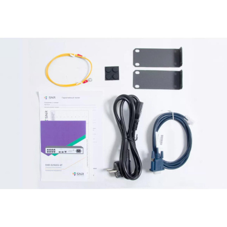 Управляемый коммутатор уровня 2 SNR-S2982G-8T