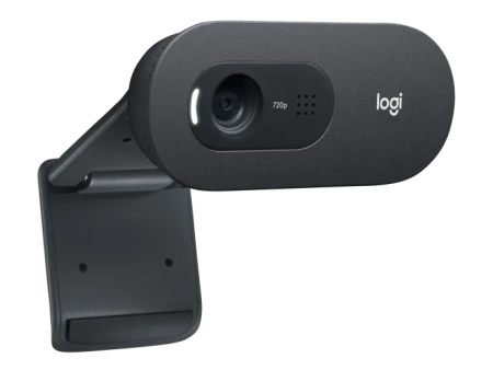 Веб-камера Logitech C505e HD Webcam (960-001372)