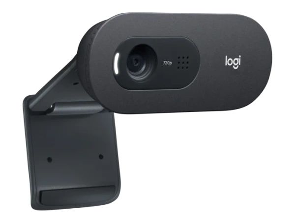 Веб-камера Logitech C505e HD Webcam (960-001372)